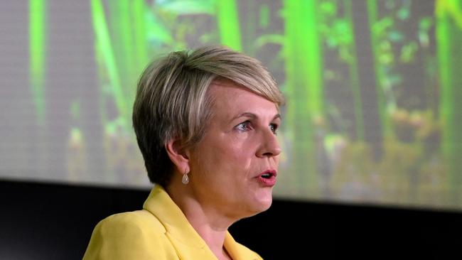 Environment Minister Tanya Plibersek. Picture: Dan Peled