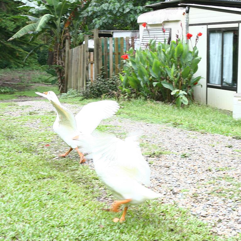 Mudgeeraba Hioliday Village in previous years.