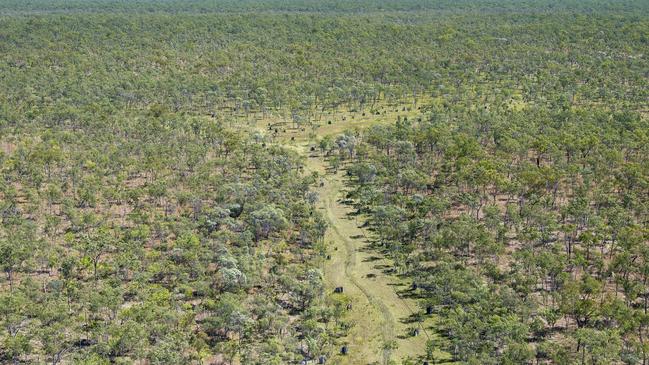 Seven sites in Cape York have been nominated to the World Heritage tentative list. Olkola Country