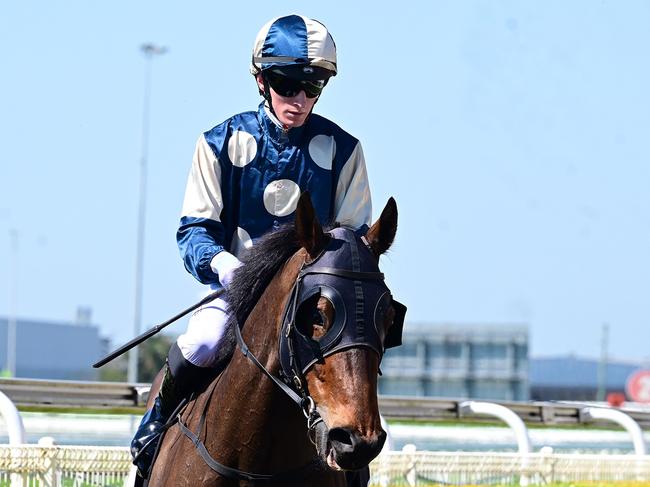 Young Group 1 winning jockey Kyle Wilson-Taylor returns from a snowboarding holiday to ride Odinson to score at Doomben for trainer Ciaron Maher and prominent owner Ozzie Kheir. Picture: Grant Peters, Trackside Photography.,