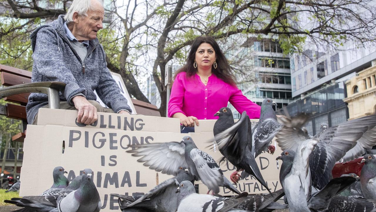 Keith "Jim" Fellingham and Samira Fateh in Victoria Square with signs protesting against pigeon culling in 2020. Picture: Simon Cross