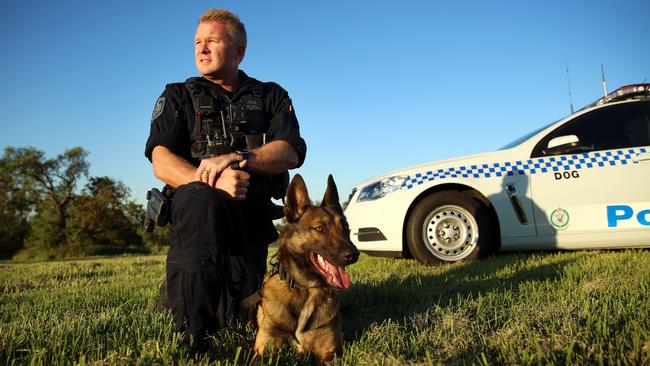 Hero police dog Dravec, pictured with Senior Constable David Cole, helped save two bushwalkers after they got lost. Picture: Sam Ruttyn