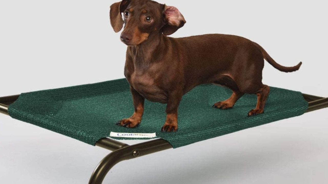 $40 dog bed with 25k five-star ratings