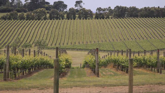 Locals say Point Leo Estate is full of wildlife and have appealed to Mr Gandel to ’think of the birds’. 