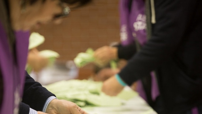 Federal election voting generic