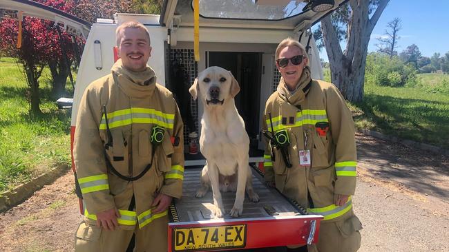 Firefighters and the accelerant detection canine (ADC) at the scene of the former Kenmore Psychiatric Hospital. Picture: Fire and Rescue NSW Station 305 Goulburn/Facebook