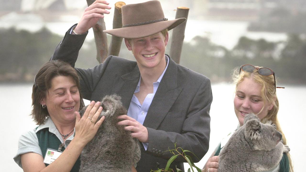 Conservation groups say not enough is being done to protect koala habitats and extinction is a very real possibility. Picture: Erica Harrison