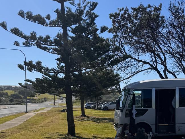 The Ballina Shire Council made a decision on Jun 27, 2024 not to cut down the Norfolk trees at Sharpes Beach for extra parking spaces. Picture: Cr Rod Bruem's Facebook page.