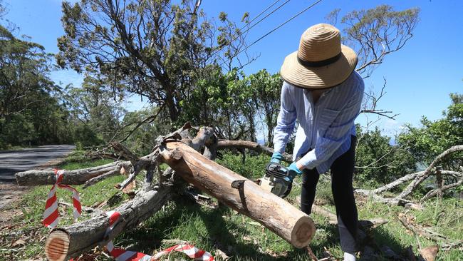 Mt Tamborine residents are helping each other clear fallen trees and debris following the massive storm. Picture: NCA NewsWire / Scott Powick