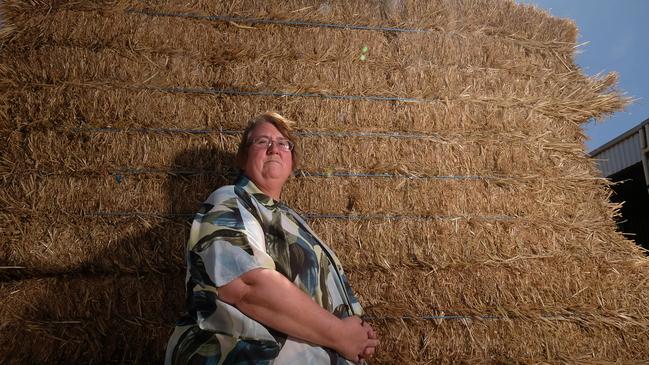 Julie Bartlett is general manager of Pyrenees Hay Australia. Picture: Luis Enrique Ascui