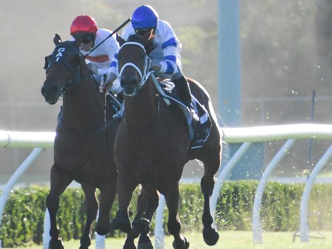 Kolding can find himself in the winner’s enclosure again.