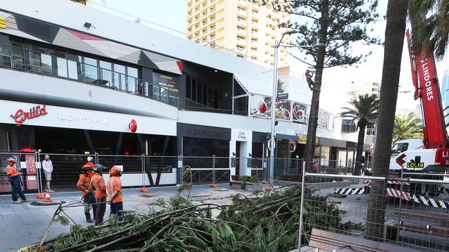 Workers removing the trees in Surfers Paradise today. Picture: Glenn Hampson