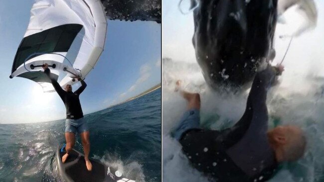 â&#128;&#152;This is what it feels like to dieâ&#128;&#153;: Wind surfer collides with whale