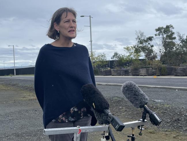 Greens leader Cassy O'Connor has slammed plans to build a $750 million stadium at Macquarie Point. Picture: Amber Wilson