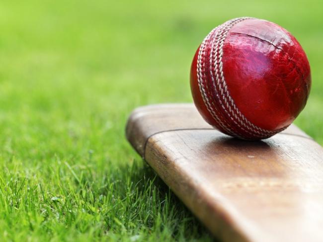 Premier Cricket at risk of producing ‘flat-track bullies’