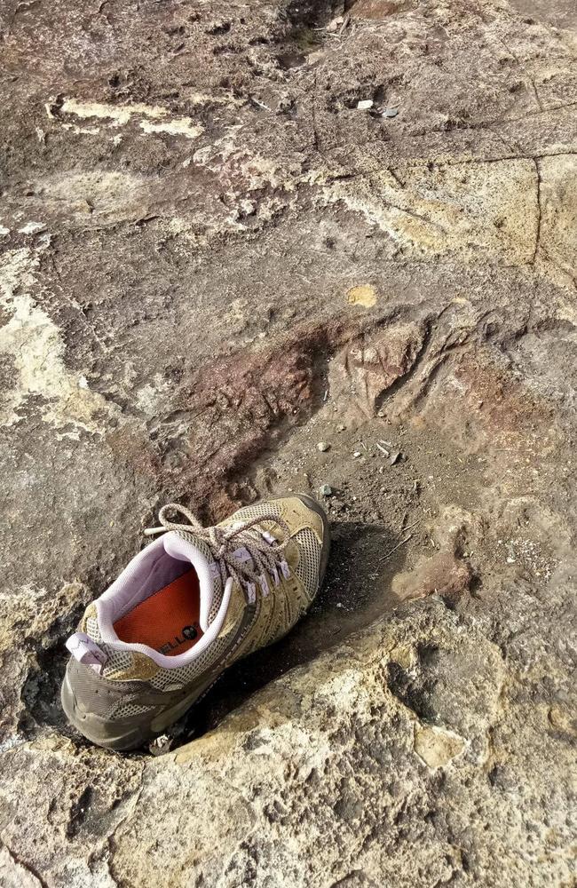 A suspected yowie footprint shared by Australian Yowie Research discovered on Mt French along Scenic Rim.