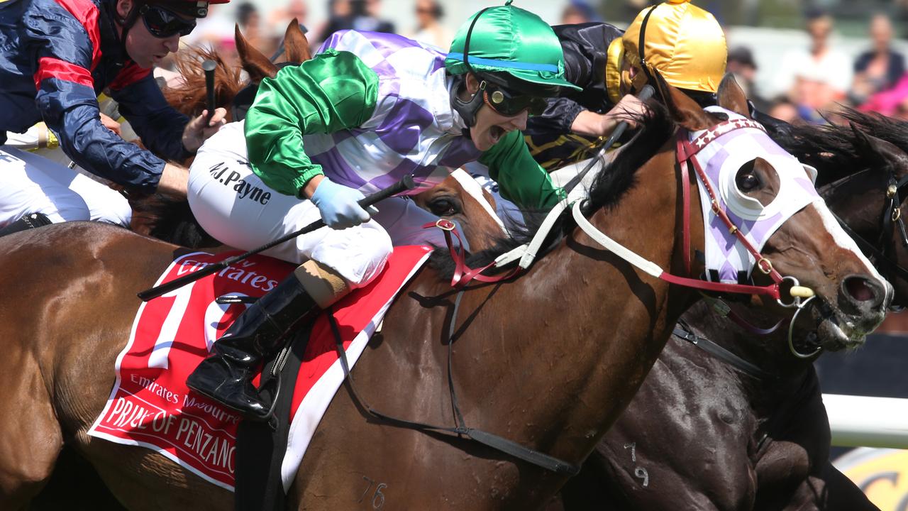 Melbourne Cup 2015: Michelle Payne scores historic win on $101 outsider ...