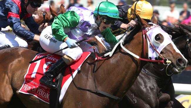 Prince of Penzance (centre), ridden by Michelle Payne, comes home to win The Melbourne Cup with 100m to go during Melbourne Cup Day at Flemington Racecourse in Melbourne, Tuesday, Nov. 3, 2015. (AAP Image/David Crosling) NO ARCHIVING, EDITORIAL USE ONLY