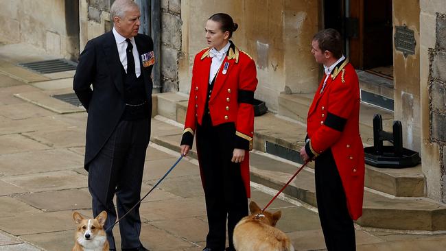 WINDSOR, ENGLAND - SEPTEMBER 19: Prince Andrew with royal corgis as they await the cortege ahead of the Committal Service for Queen Elizabeth II held at St George's Chapel on September 19, 2022 in Windsor, England. The committal service at St George's Chapel, Windsor Castle, took place following the state funeral at Westminster Abbey. A private burial in The King George VI Memorial Chapel followed. Queen Elizabeth II died at Balmoral Castle in Scotland on September 8, 2022, and is succeeded by her eldest son, King Charles III. (Photo by Peter Nicholls - WPA Pool/Getty Images)