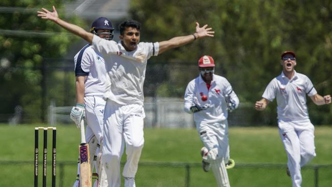 Mordialloc players celebrate a wicket taken by Helitha Withanage.