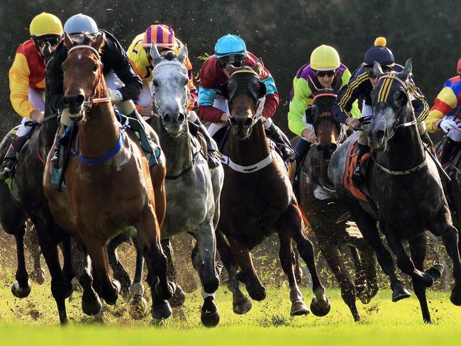 Racehorse Nash Rambler (rail) ridden by jockey Brenton Avdulla winning race 4 at at Gosford Racecourse in Gosford on NSW Central Coast.