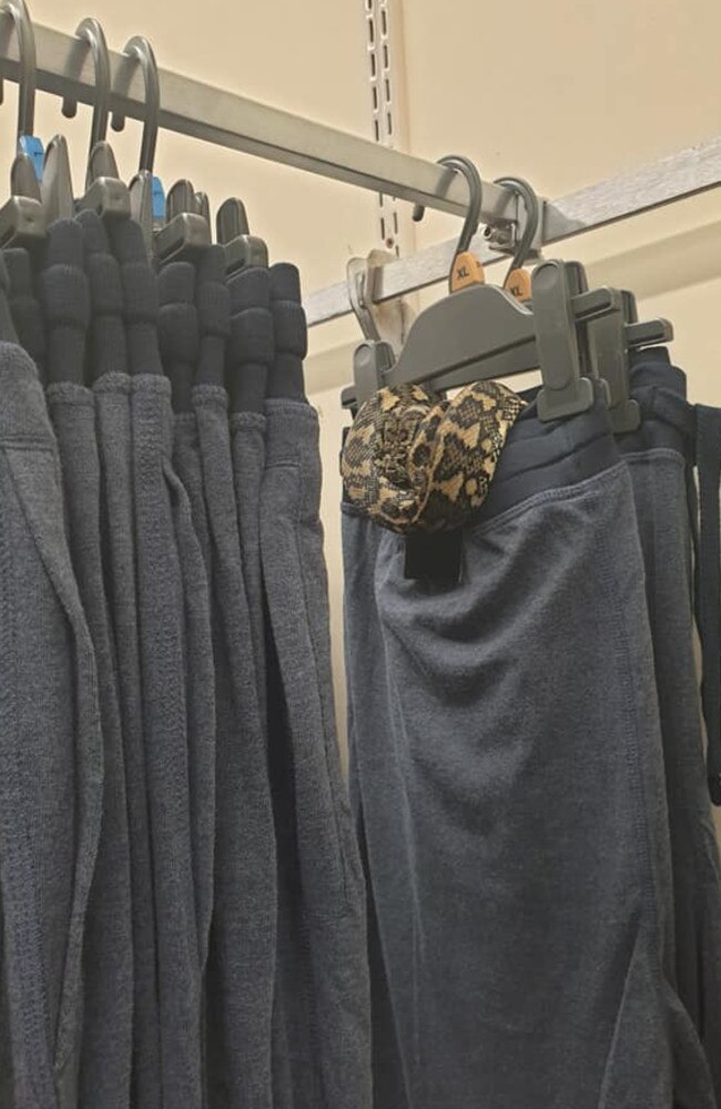 A carpet python was found getting cosy in men's pyjama's at Target on Bribie Island yesterday. Picture: Rhien's Snake Removals