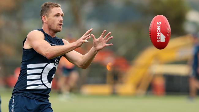 Joel Selwood earns plenty of free kicks. Picture: Alison Wynd