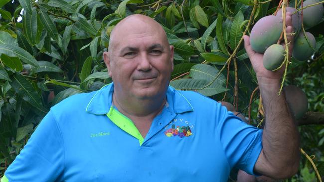 FNQ Growers President Joe Moro said the key factors in export were cost and availability of freight. Picture: Bronwyn Farr.