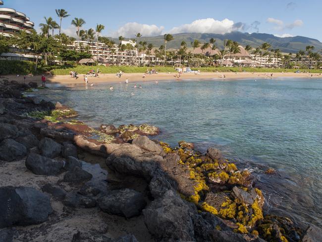 KAANAPALI BEACH The most popular beach in West Maui is Kaanapali Beach, a sandy recreation area fronting a row of hotels and resorts, bars and restaurants, and the Whaler’s Village shopping centre. With gentle waves, this is an excellent beach for learning to surf or taking your first paddleboard lesson. Snorkellers congregate near Puu Kekaha (Black Rock), a haven for Hawaiian green sea turtles at the north end of the beach.