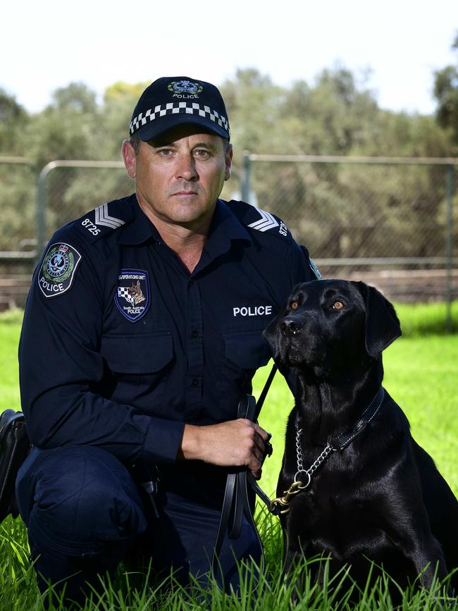 Sgt Peter Crouch from SAPOL’s police dog operations unit with PD Chester, at Thebarton Police Barracks. Picture: Bianca De Marchi