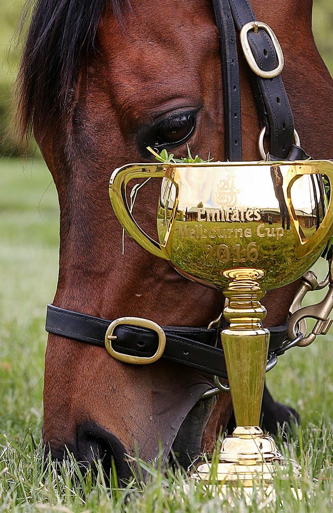 Not just any meeting with Melbourne Cup winner Almandin making his return to the track. Picture: Ian Currie