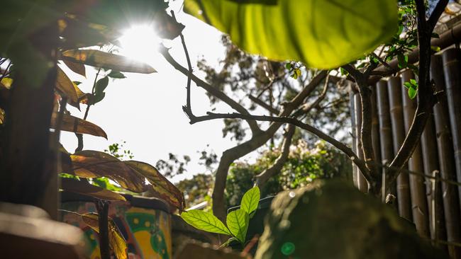 Captured sunlight dances in Michael Mobbs’ solar panels. Picture: Mark Kriedemann