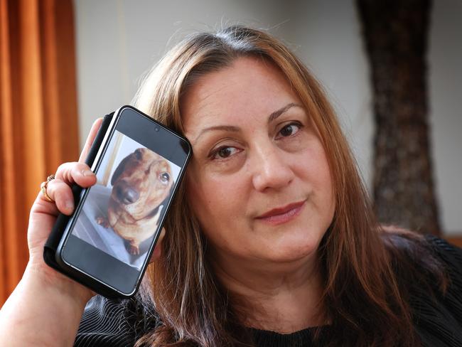 Sofie Giuiri lodged a complaint over the botched procedure on her beloved pet. Picture: David Caird