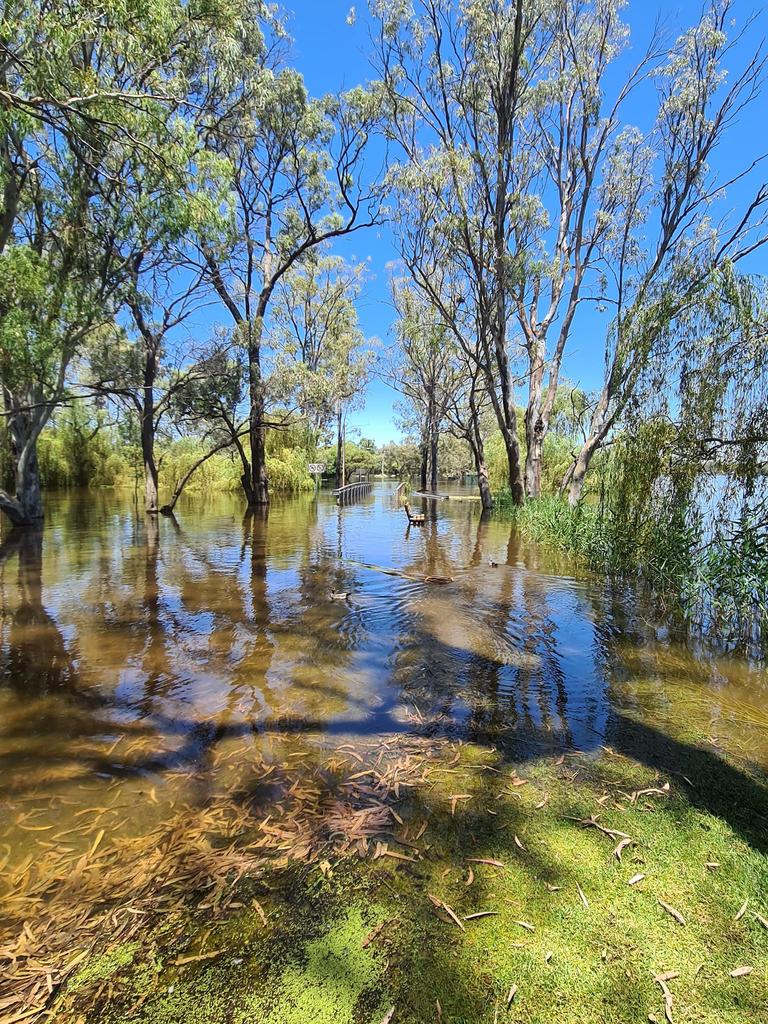 Bert Dix Memorial Park, Paringa. Picture: Facebook/Kelly Morgan