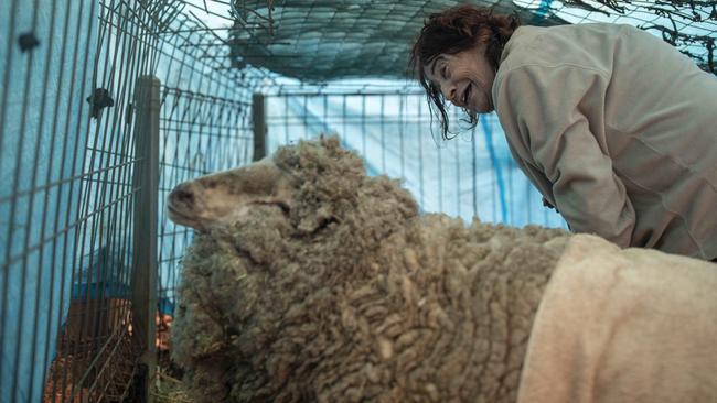 Carol Schaefer with her pet sheep George. Picture: Sean Davey