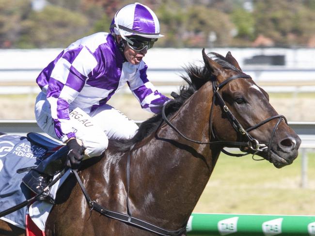 Horse Racing PhotoTrack ~ MorphettvilleDate ~ 14.12.19Jockey ~ B VorsterWinner/Horse ~ Ef TroopPhoto Credit ~ © Atkins Photography