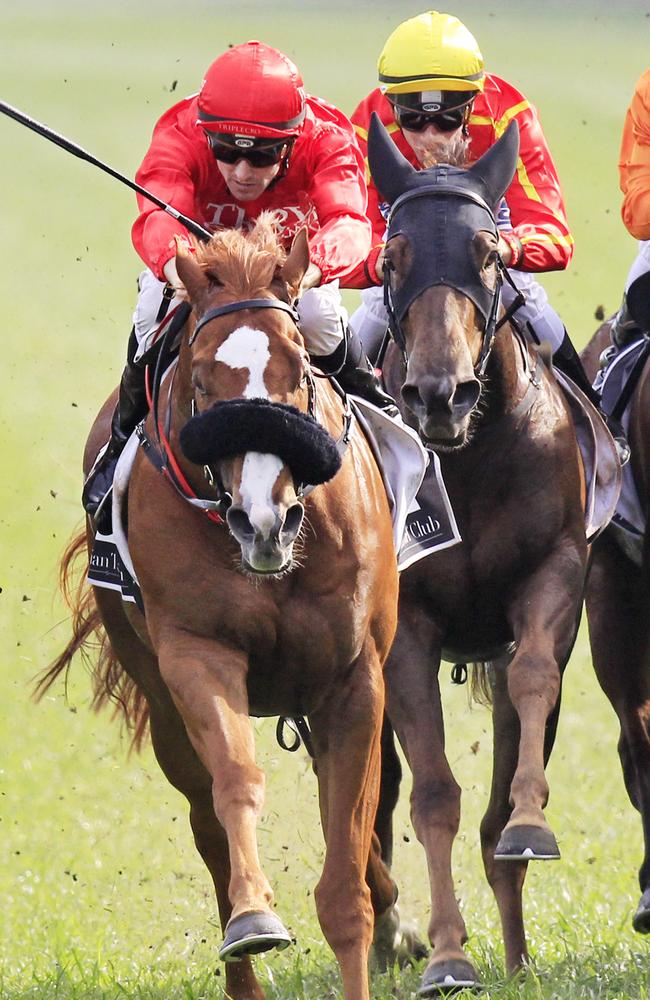 Genuine chance: Dothraki at Randwick the Sydney spring last year. Picture: Jenny Evans