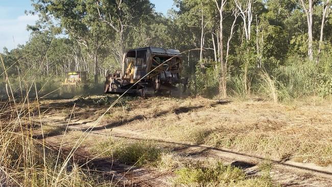 Researchers are calling for tighter land clearing regulations, saying the Territory has the weakest biodiversity protections in the country.