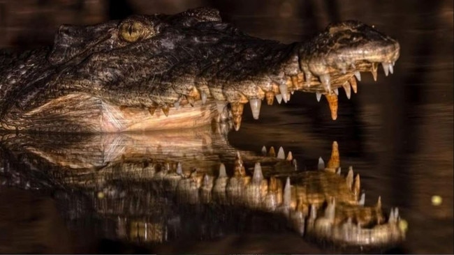 Lizzie the crocodile (pictured) was named after the Queen. Picture: Supplied