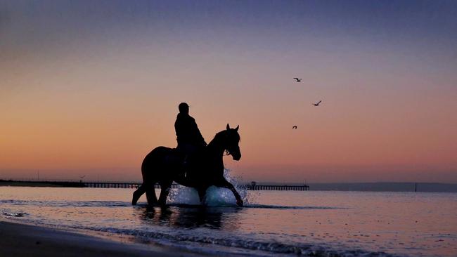 Jameka at Mordialloc Beach. Picture: Colleen Petch