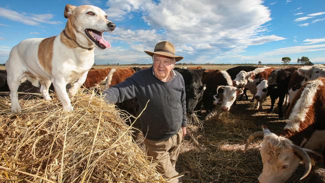 Neil Manning, who turns 90 next month, feeds his cattle on his Stratford property 250kms east of Melbourne. Picture: Ian Currie