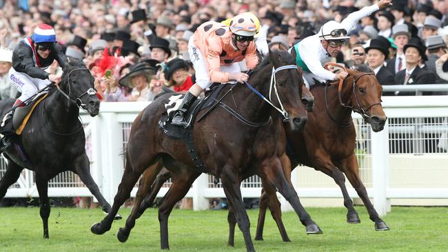 Black Caviar, ridden by Luke Nolen, wins the Diamond Jubilee Stakes by a nose at Royal Ascot.