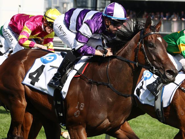 MELBOURNE , AUSTRALIA. November 9, 2023.  VRC Oaks Day races at Flemington Racecourse  . Race 7. The Bachelors Red Roses Stakes.    Mumbai Muse ridden by Tommy Berry wins down the Flemington straight      . Pic: Michael Klein