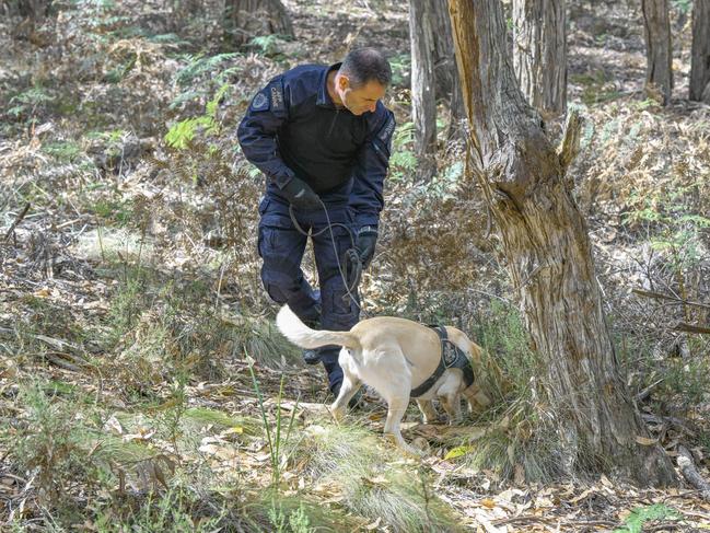 The bushland sits about 10km from a previous search area in the Canadian Forest.