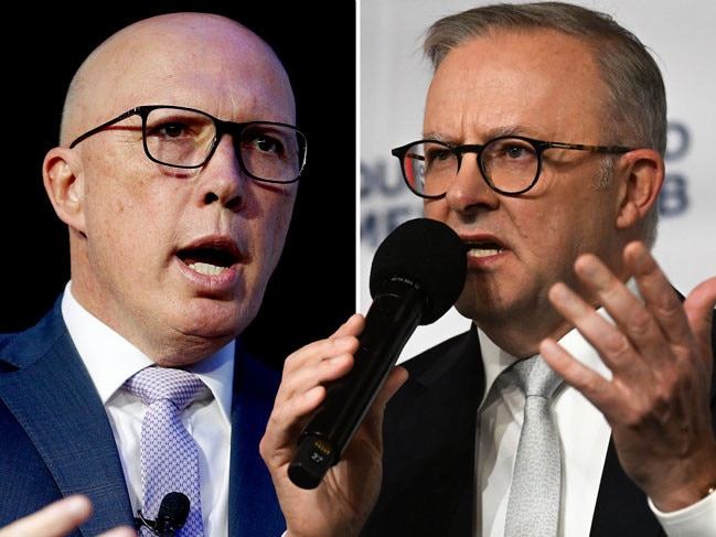 Dutton and Albo art for Staz