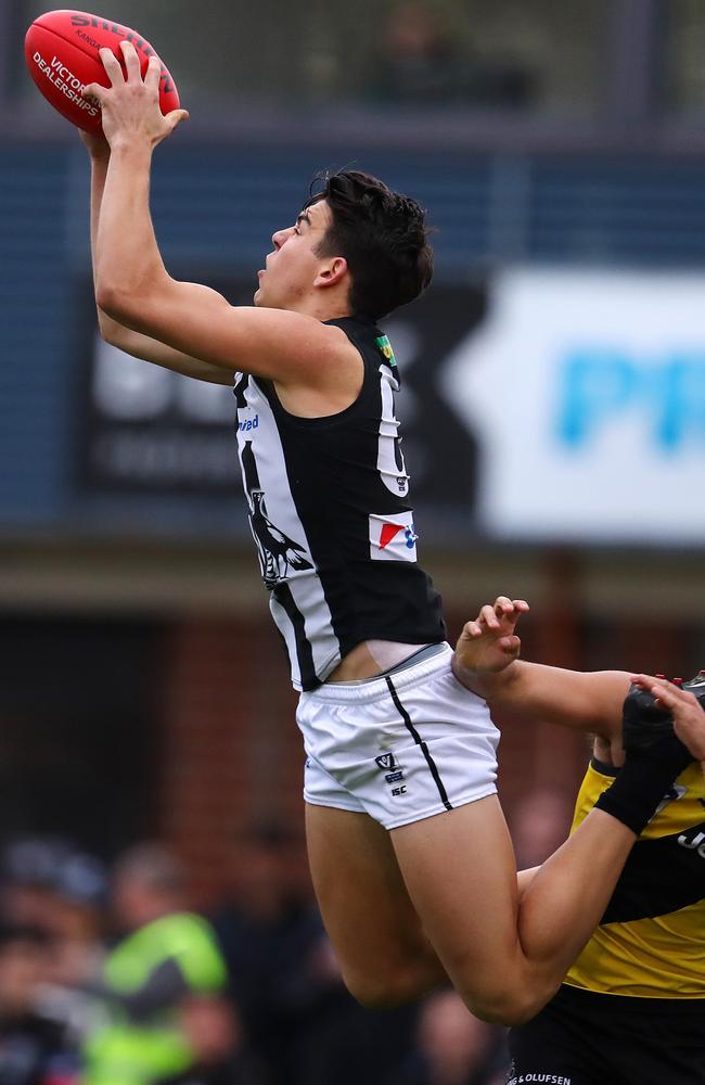 Collingwood’s marking machine Marty Hore.