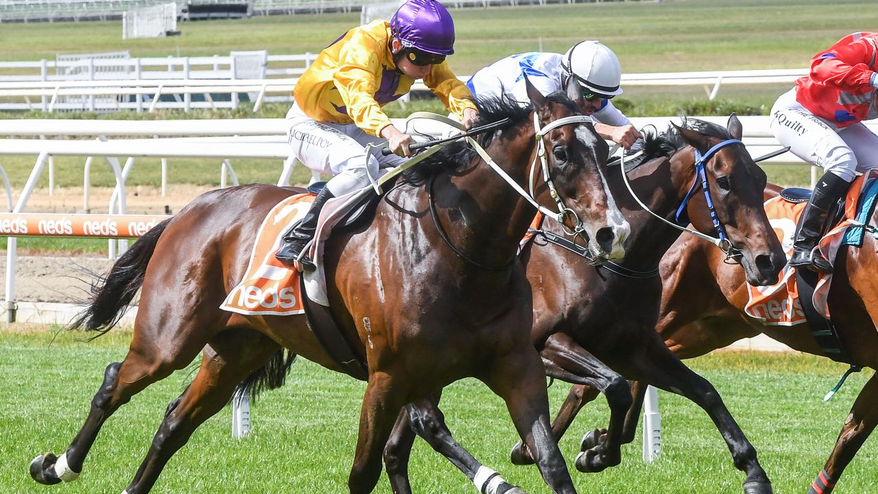 Unconquered Sun will give a start but could finish strongly to end the day on a high for punters at Kilmore on Tuesday. Picture : Racing Photos via Getty Images.