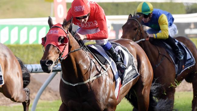 Redzel has emerged as a genuine contender for The Everest after two big wins this campaign. Picture: Simon Bullard