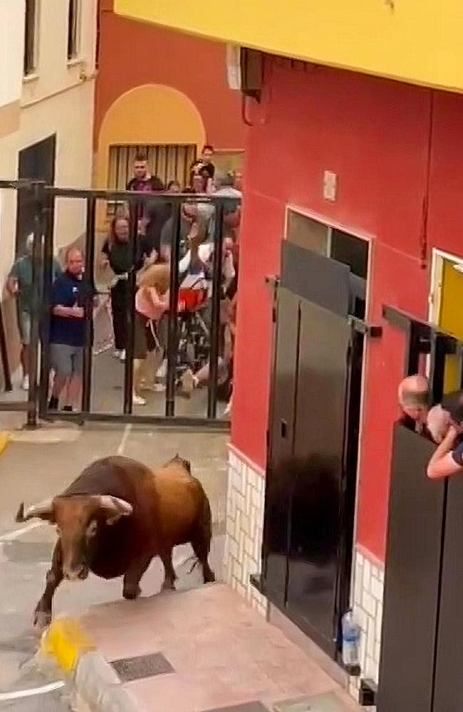 Horror footage shows how the muscular bovid charged towards its victim at breakneck speed. Picture: Jam Press