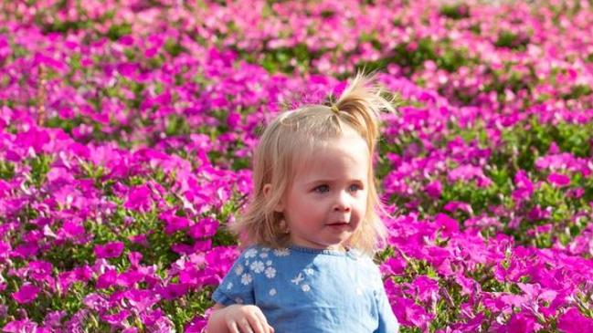 Tesselaar flower farm will hold an Easter hunt from April 7 – 10, as part of its KaBloom festival at Silvern in the Dandenong Ranges. Picture: supplied